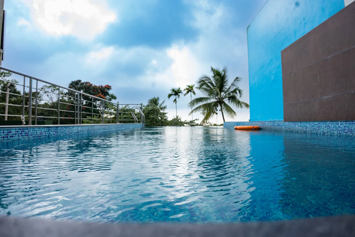 Swimming Pool Palm Trees Decabayan